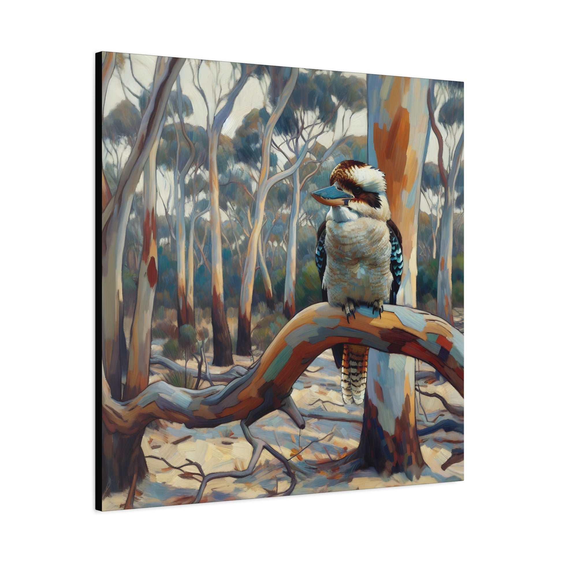 Canvas print of a kookaburra bird perched on a branch in a forest setting.
