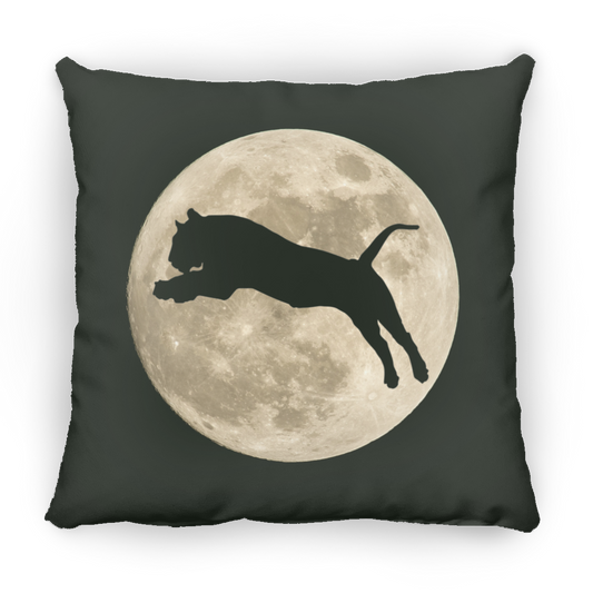 Tiger Moon - Pillows