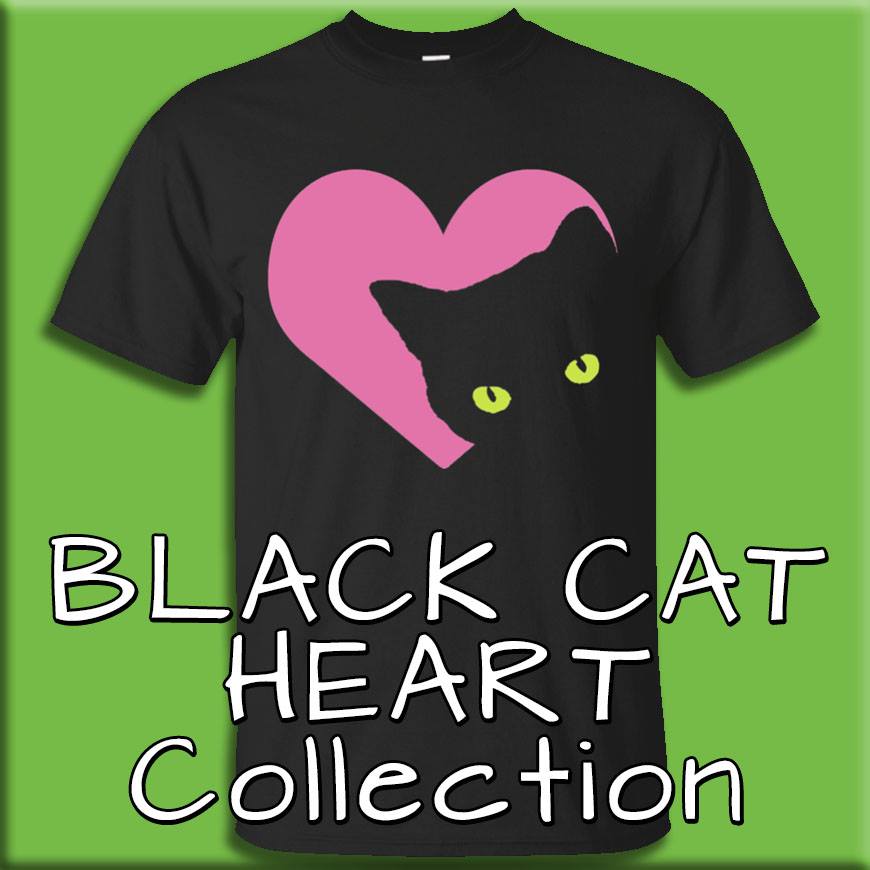 OUR CAT COLLECTIONS