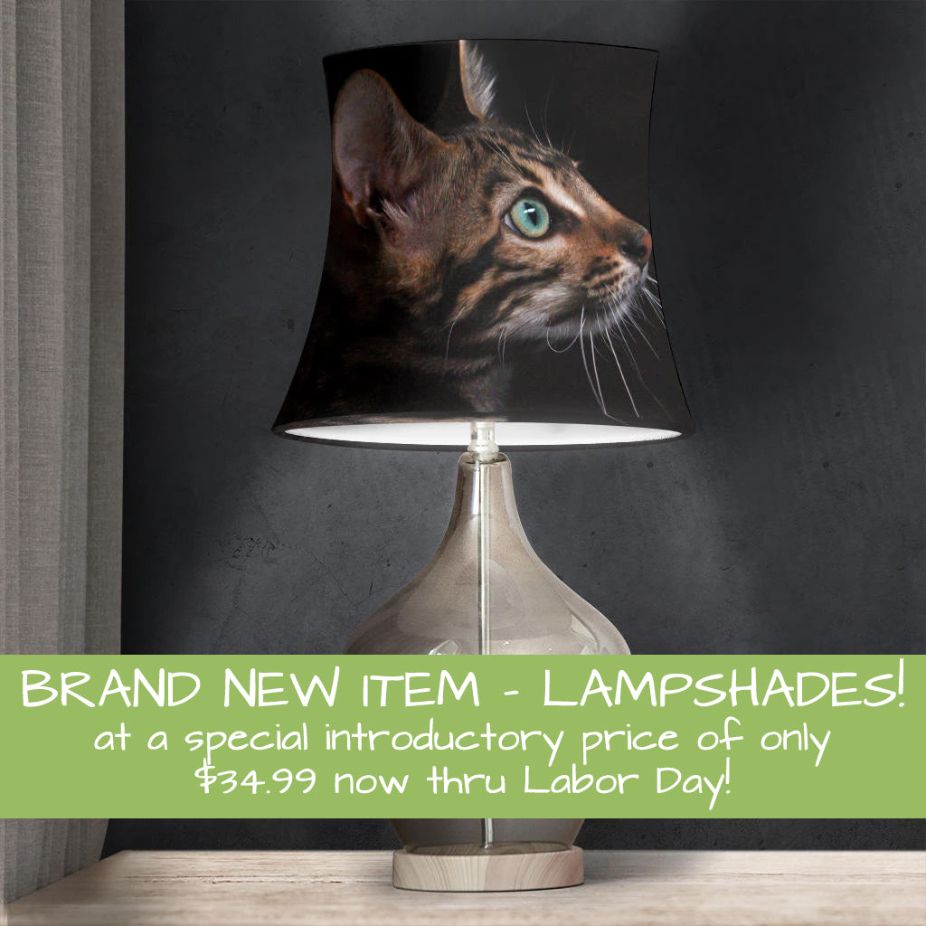 Brand new item - Lampshades! at a special introductory price of only $34.99 now thru Labor Day!