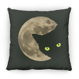 Moon Cat Pillows