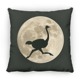 Ostrich Moon Pillows
