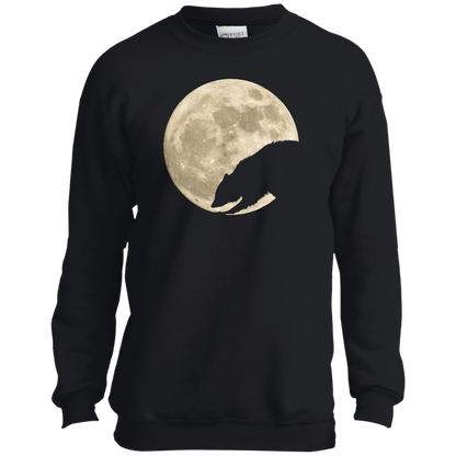 Raccoon Moon Youth Shirts - T-Shirt, Long Sleeve Tee, Sweatshirt, Hoodie