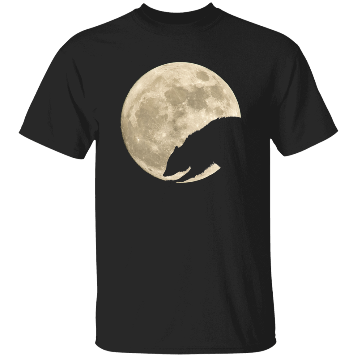 Raccoon Moon Youth Shirts - T-Shirt, Long Sleeve Tee, Sweatshirt, Hoodie