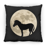 Zebra Moon Pillows