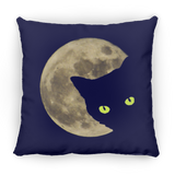 Moon Cat Pillows