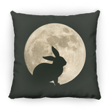 Bunny Moon Pillows