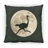 Ostrich Moon Pillows