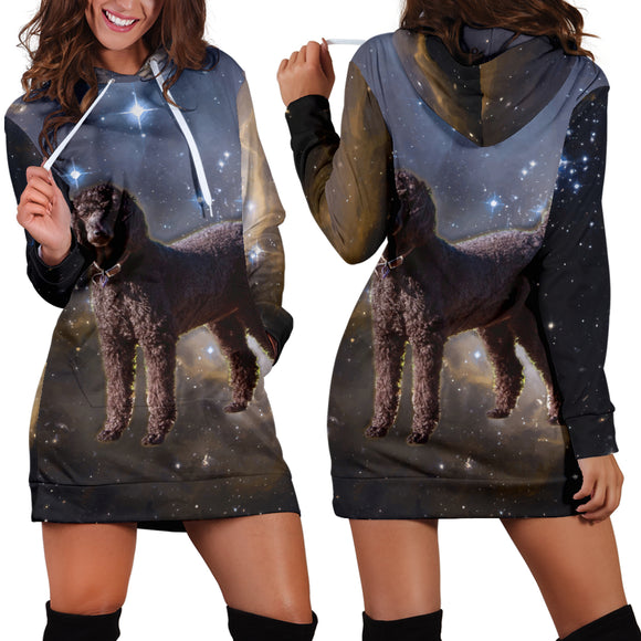 Galaxy Poodle Hoodie Dress